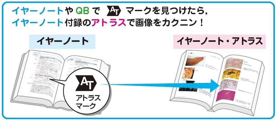 イヤーノート22 電子版 Informa Byメディックメディア