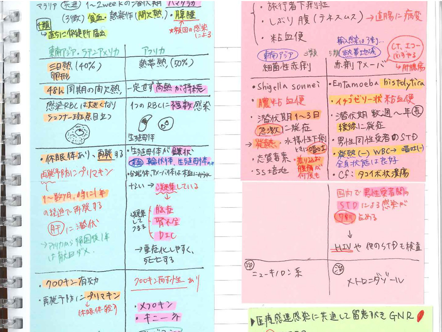 医師国家試験体験記：イヤーノートで育てた入れ替え自由な付箋が大活躍