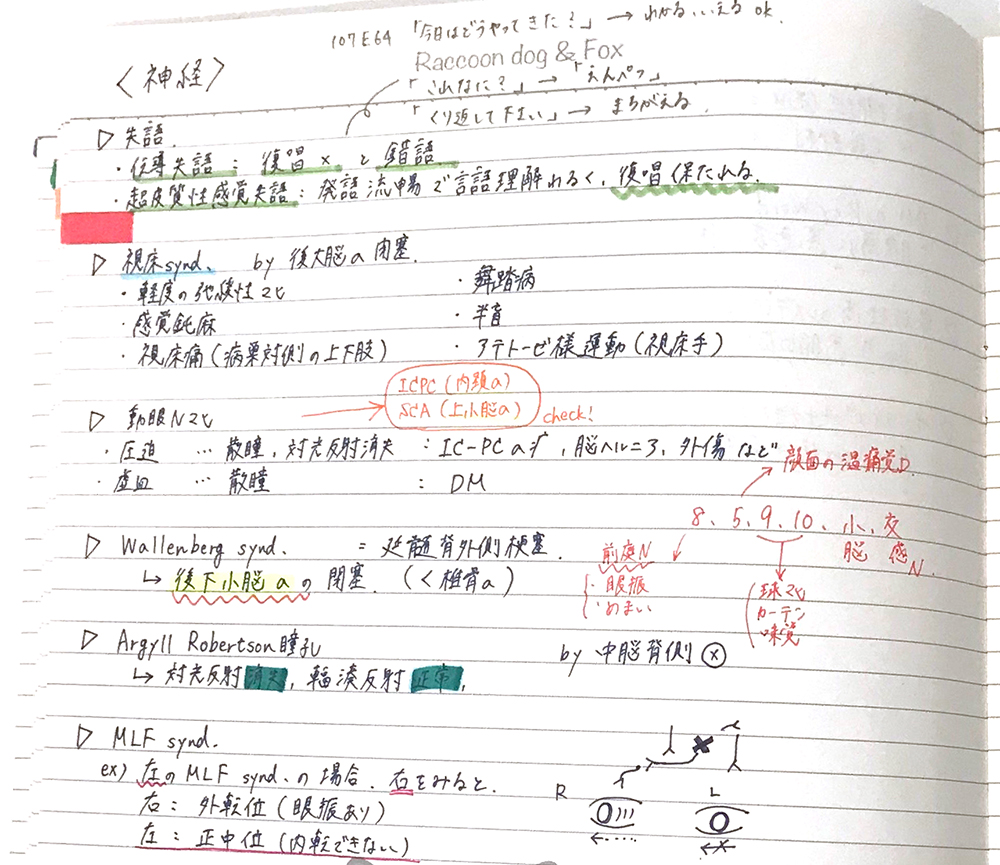 第113回医師国家試験【体験記】手を動かすことで覚える！ 直前期“書く