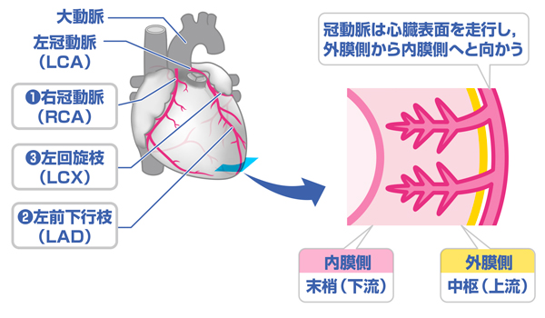【第20回】心内膜下虚血の心電図　ST低下