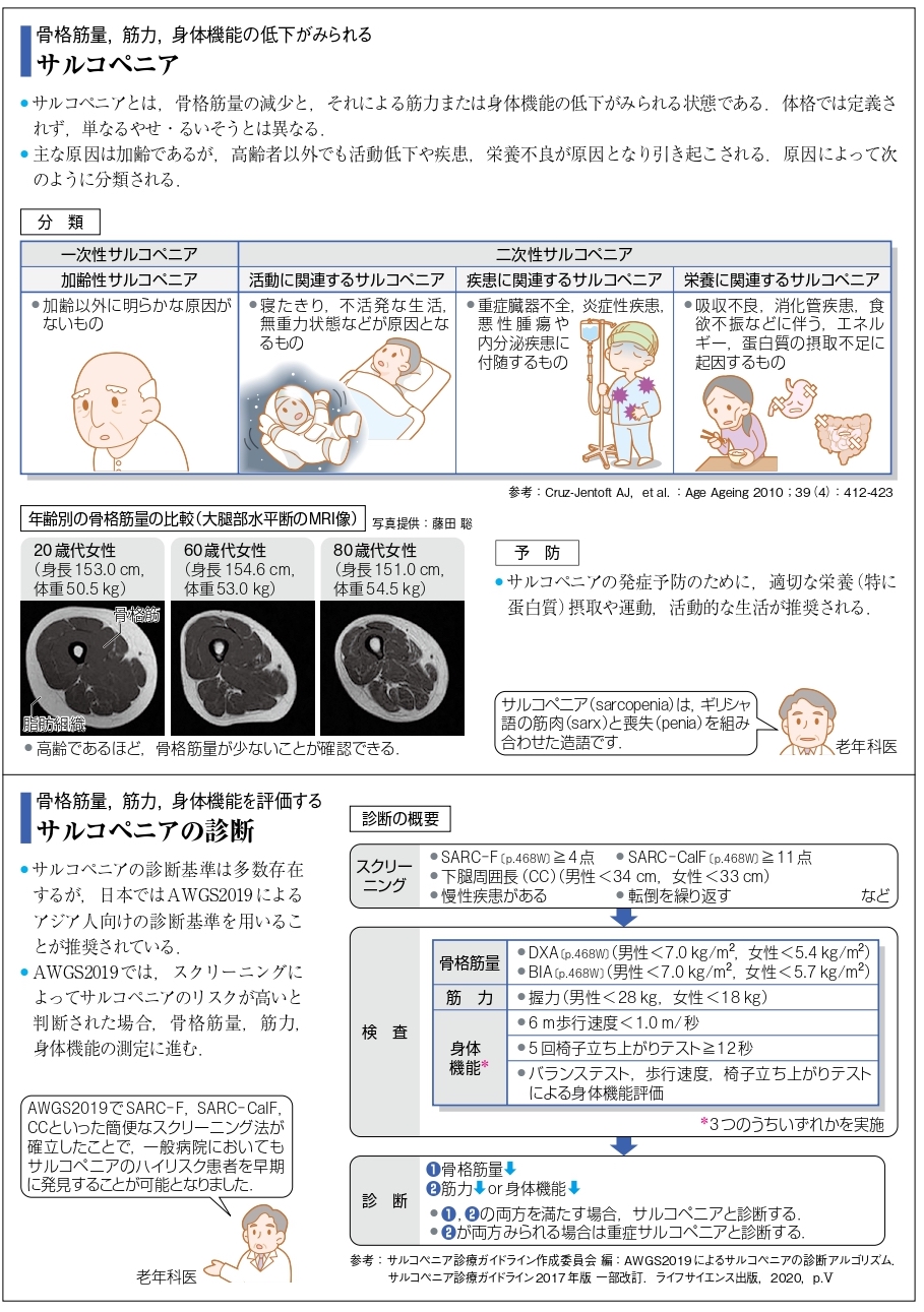 病気がみえるvol.11 運動器・整形外科（第2版）』 改訂ポイント紹介| INFORMA by メディックメディア