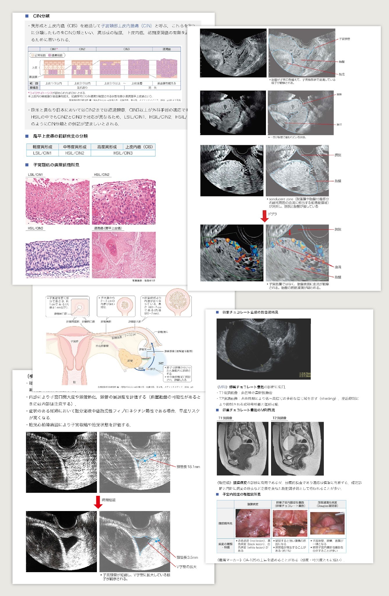 イヤーノート産婦人科 2027』いよいよ発売！産婦人科対策の決定版